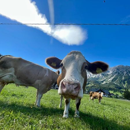 Pension Moeslehnerhof Ramsau am Dachstein Eksteriør bilde