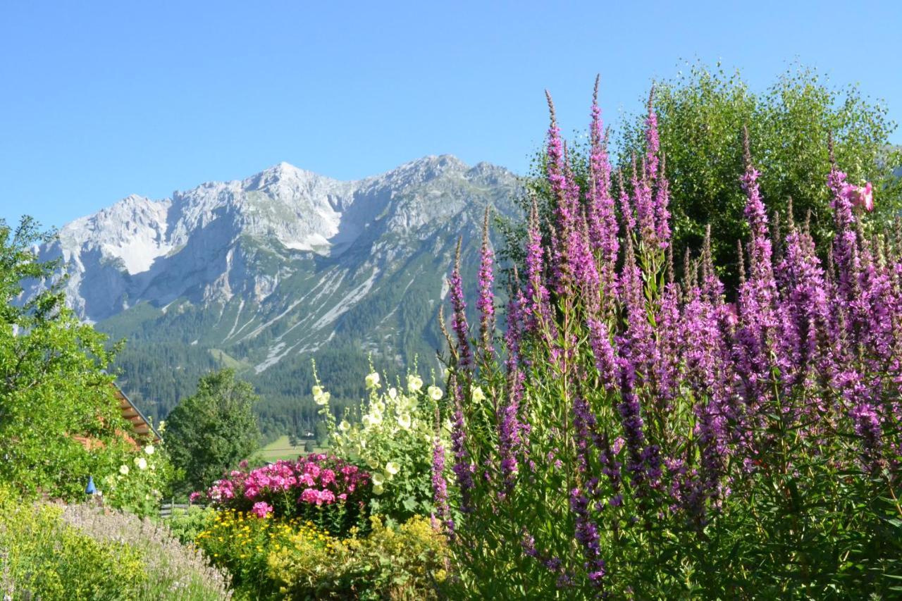 Pension Moslehnerhof Ramsau am Dachstein Eksteriør bilde