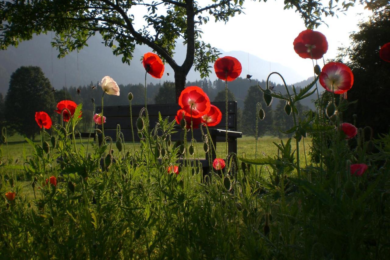Pension Moeslehnerhof Ramsau am Dachstein Eksteriør bilde