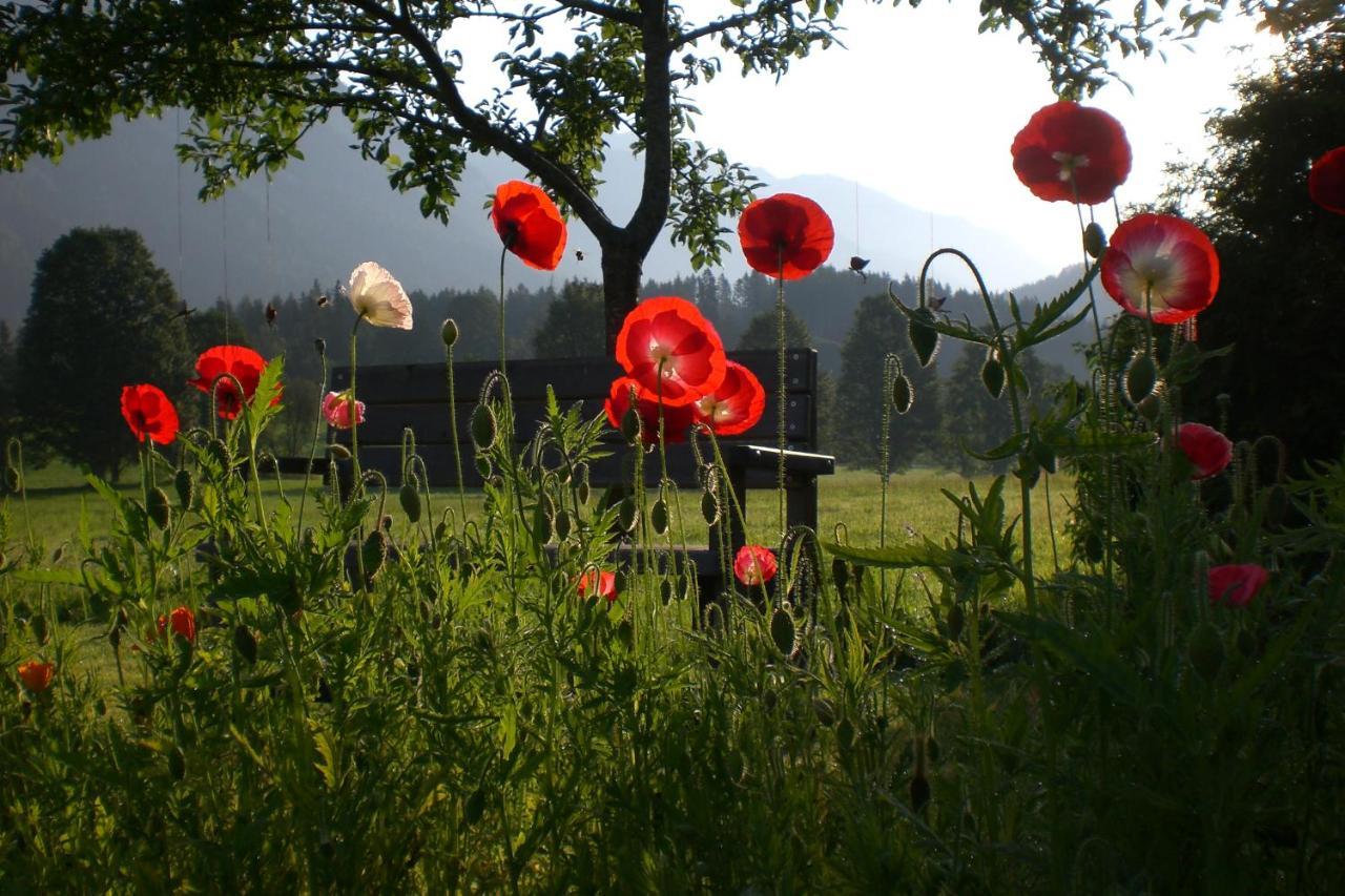 Pension Moslehnerhof Ramsau am Dachstein Eksteriør bilde