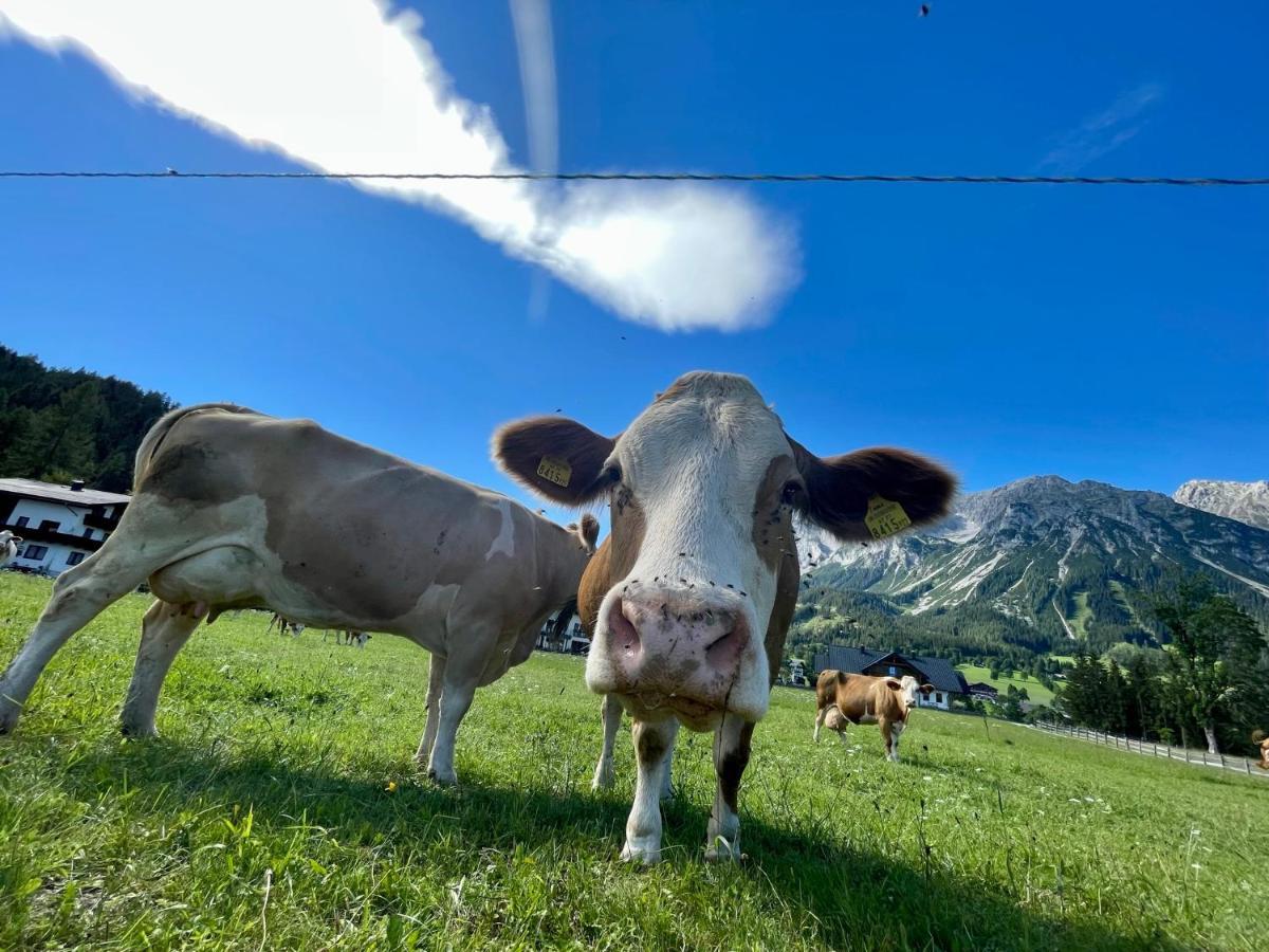 Pension Moslehnerhof Ramsau am Dachstein Eksteriør bilde