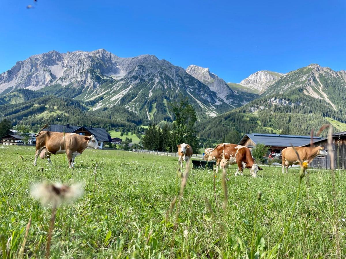 Pension Moslehnerhof Ramsau am Dachstein Eksteriør bilde